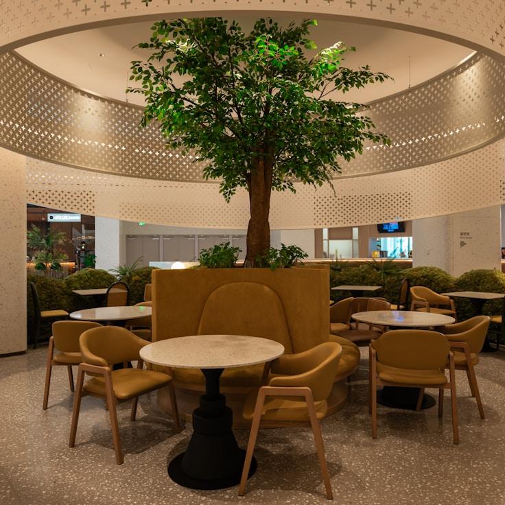 School choices for expat families in Rome, Italy